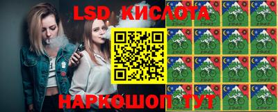 гидропоника Камышлов