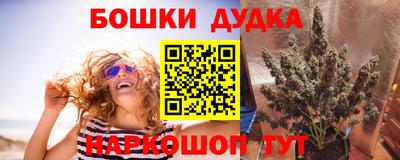 гидра Кимры