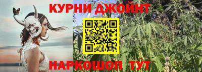 гидра Кимры
