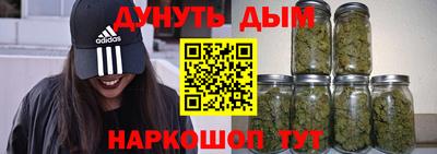 шишки Кинель