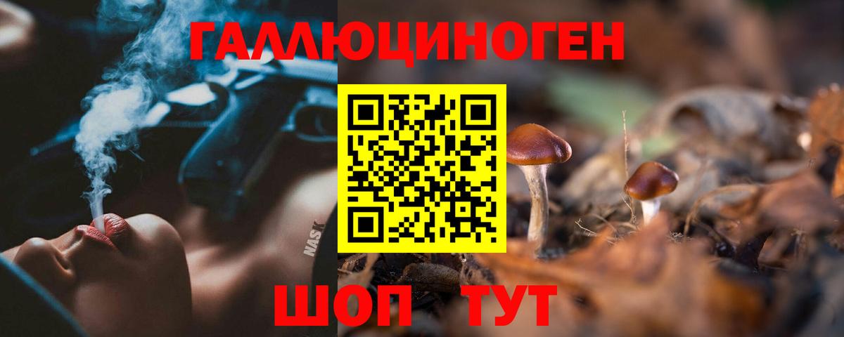 Еманжелинск  сколько стоит  Псилоцибиновые грибы прущие грибы  Вход с VPN  Псилоцибиновые грибы Psilocybine cubensis 